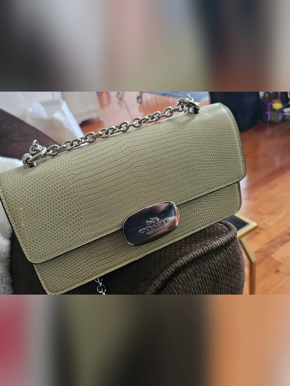Coach Eliza Shoulder and Crossbody bag Pre-Loved Leather/ Silver Pale/Green